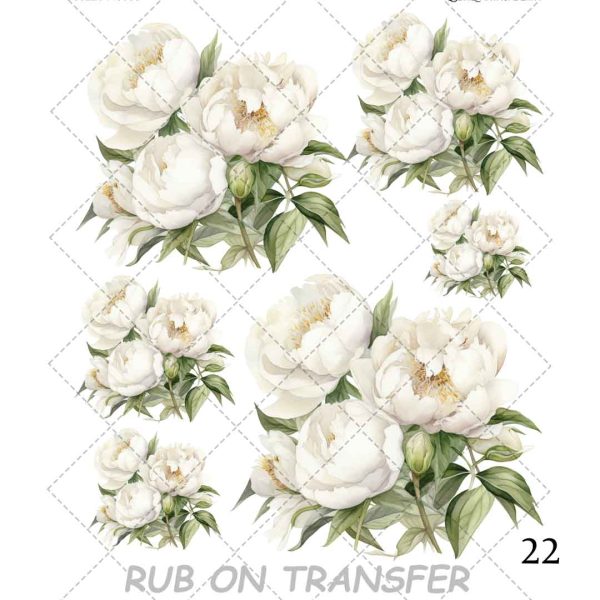 22 ترنسفر روبون الوا (Rub on Transfer) - تصویر 1