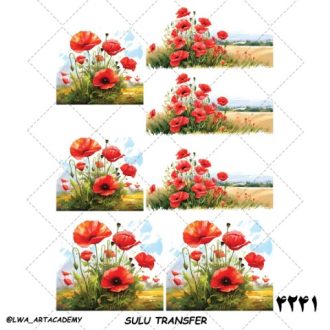 ترنسفر آبی (Sulu Transfer)
