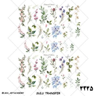 ترنسفر آبی (Sulu Transfer)