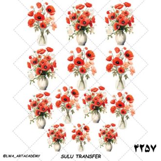ترنسفر آبی (Sulu Transfer)