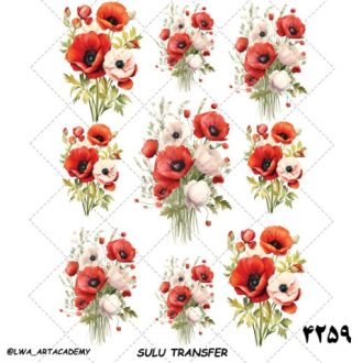 ترنسفر آبی (Sulu Transfer)