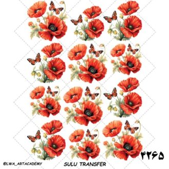 ترنسفر آبی (Sulu Transfer)