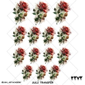 ترنسفر آبی (Sulu Transfer)