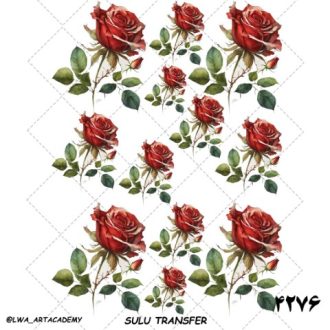 ترنسفر آبی (Sulu Transfer)