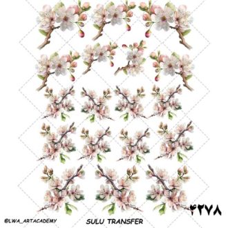 ترنسفر آبی (Sulu Transfer)