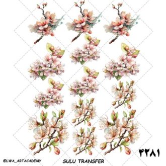 ترنسفر آبی (Sulu Transfer)