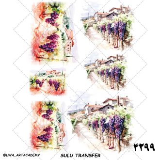 ترنسفر آبی (Sulu Transfer)