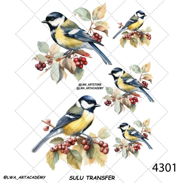 4301 ترنسفر آبی (Sulu Transfer) - تصویر 1