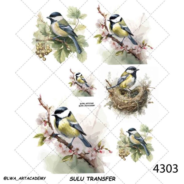 ترنسفر آبی (Sulu Transfer) - تصویر 1