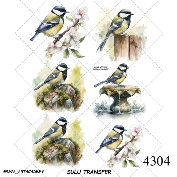 ترنسفر آبی (Sulu Transfer) - تصویر 1