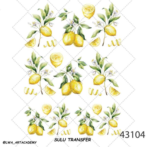 43104 ترنسفر آبی (Sulu Transfer) - تصویر 1