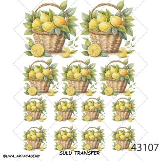 ترنسفر آبی (Sulu Transfer)