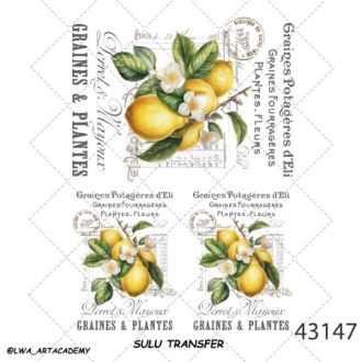 ترنسفر آبی (Sulu Transfer)