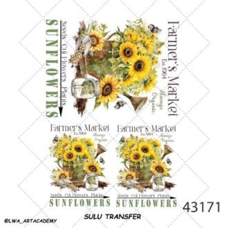 ترنسفر آبی (Sulu Transfer)