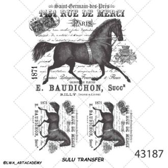 ترنسفر آبی (Sulu Transfer)