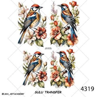 ترنسفر آبی (Sulu Transfer)