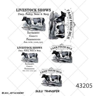 ترنسفر آبی (Sulu Transfer)