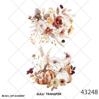 ترنسفر آبی (Sulu Transfer)