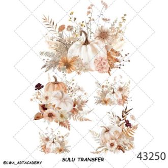 ترنسفر آبی (Sulu Transfer)