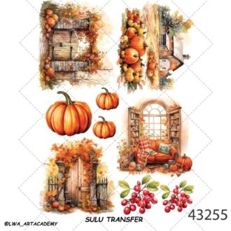 ترنسفر آبی (Sulu Transfer)