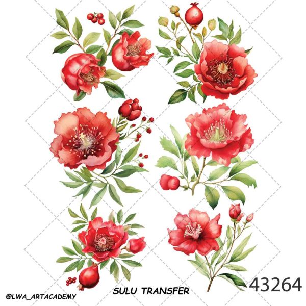ترنسفر آبی (Sulu Transfer) - تصویر 1