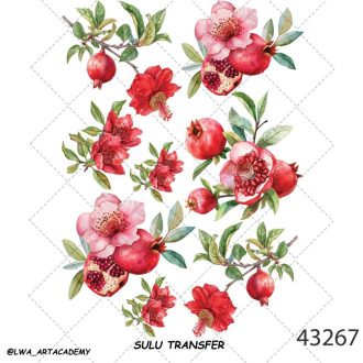 ترنسفر آبی (Sulu Transfer)