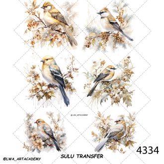 ترنسفر آبی (Sulu Transfer)