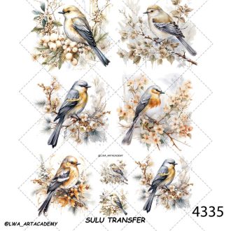 ترنسفر آبی (Sulu Transfer)