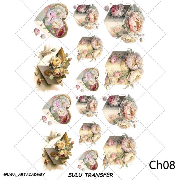 ch08 ترنسفر آبی (Sulu Transfer) - تصویر 1