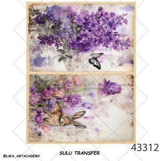 ترنسفر آبی (Sulu Transfer)