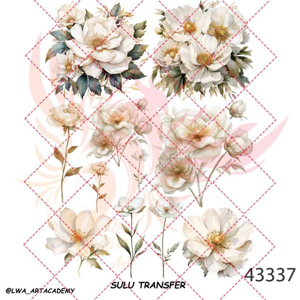 43337 ترنسفر آبی (Sulu Transfer) - تصویر 1