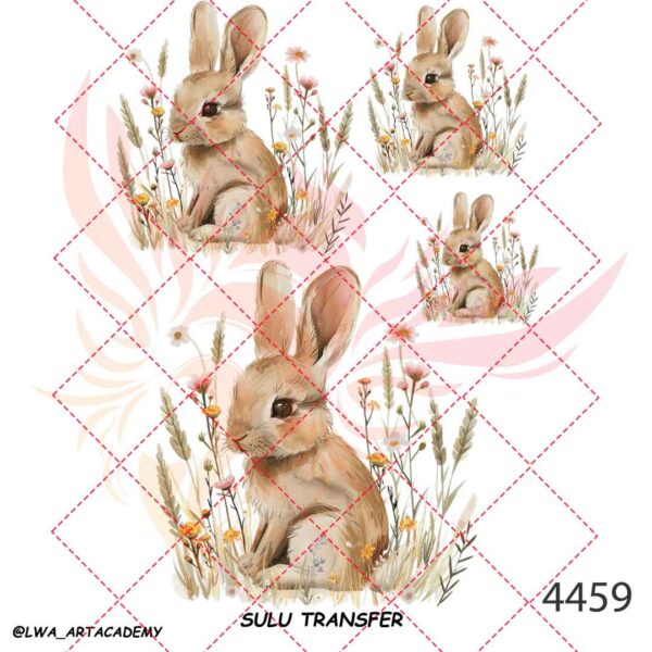 4459 ترنسفر آبی (Sulu Transfer) - تصویر 1