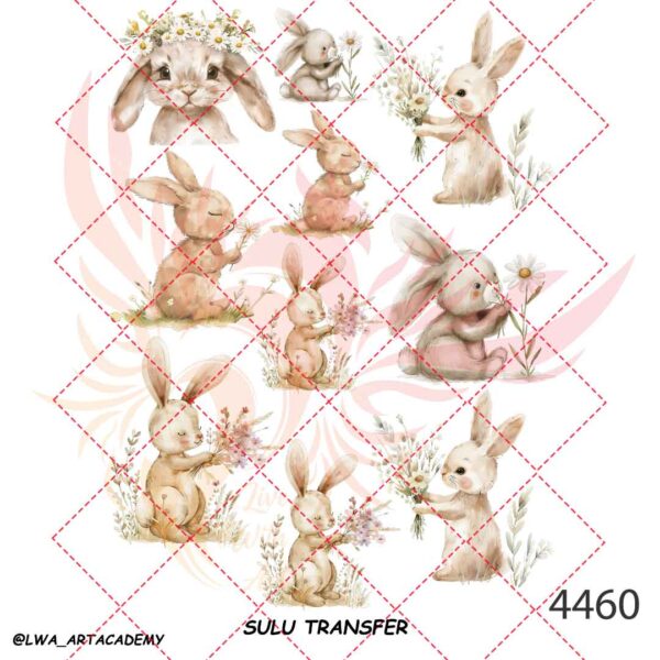 4460 ترنسفر آبی (Sulu Transfer) - تصویر 1