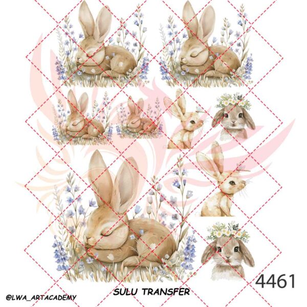 4461 ترنسفر آبی (Sulu Transfer) - تصویر 1