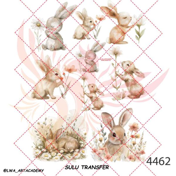 4462 ترنسفر آبی (Sulu Transfer) - تصویر 1