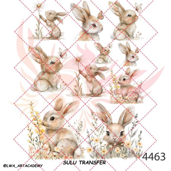 4463 ترنسفر آبی (Sulu Transfer) - تصویر 1