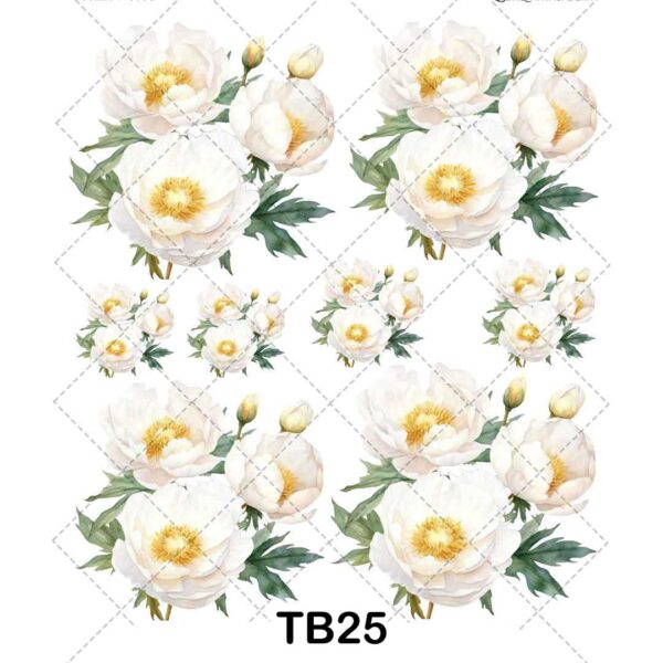 tb25 ترنسفر حرارتی(پارچه) - تصویر 1