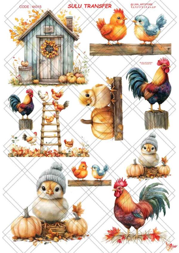 ترنسفر آبی (Sulu Transfer) - تصویر 1